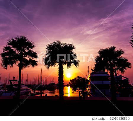 Beautiful sunset sky in the marina bay. View of harbor with yachts  124986899