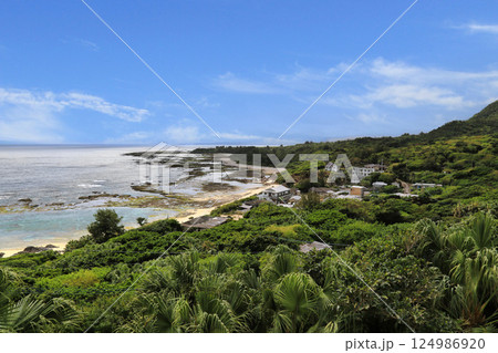 ソテツトンネル金見崎展望所（鹿児島県） 124986920