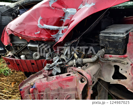 Abandoned cars after accidents in a dense overgrown setting Abandoned cars after accidents in a dense overgrown setting 124987025