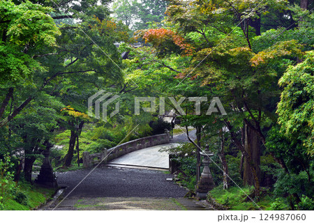 緑に包まれた石橋の参道 124987060