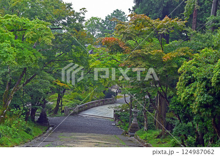 緑に包まれた石橋の参道 124987062
