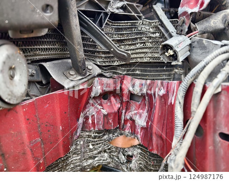 Abandoned cars after accidents in a dense overgrown setting 124987176