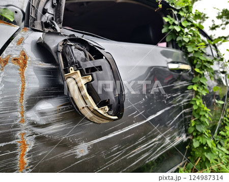 Abandoned cars after accidents in a dense overgrown setting 124987314