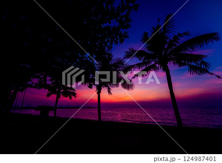 Beautiful tropical beach with palm trees. Sunrises and sunsets. Ocean. Beautiful tropical beach with palm trees. Sunrises and sunsets. Ocean. 124987401