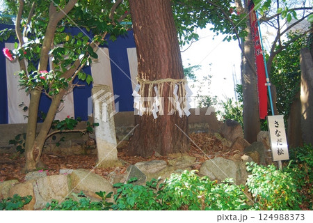 安居天満宮の風景 124988373