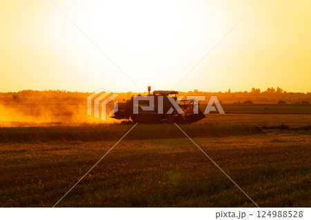 Combine Harvesters. A beautiful image of agricultural machinery. Sunset on a field with a combine harvesters. Beautiful shot of a harvester in a countryside farm. Harvest season 124988528