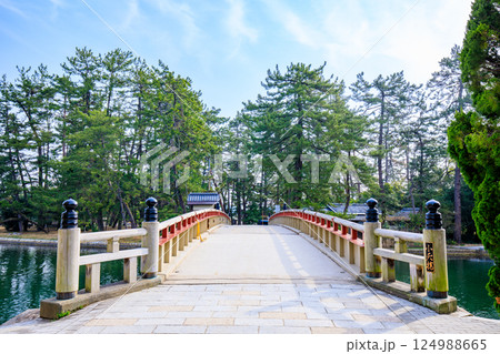 春の廻旋橋 京都府宮津市 春の廻旋橋 京都府宮津市 124988665