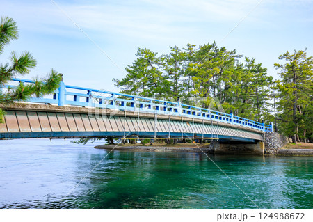 春の大天橋　京都府宮津市 124988672