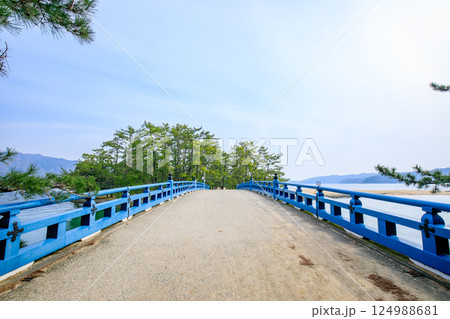 春の大天橋 京都府宮津市 春の大天橋 京都府宮津市 124988681