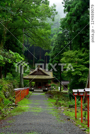 日吉大社白山宮 124989079
