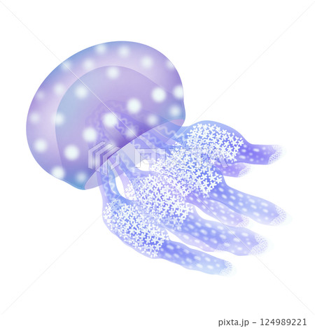 タコクラゲ_紫 124989221