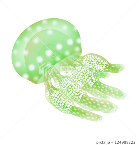 タコクラゲ_緑 124989222