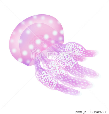 タコクラゲ_桃色 124989224