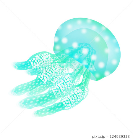 タコクラゲ_水色 124989338