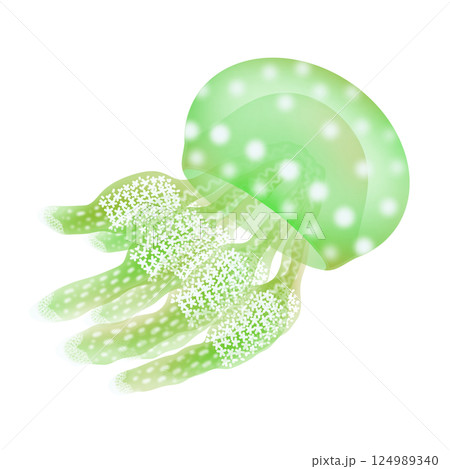 タコクラゲ_緑 124989340