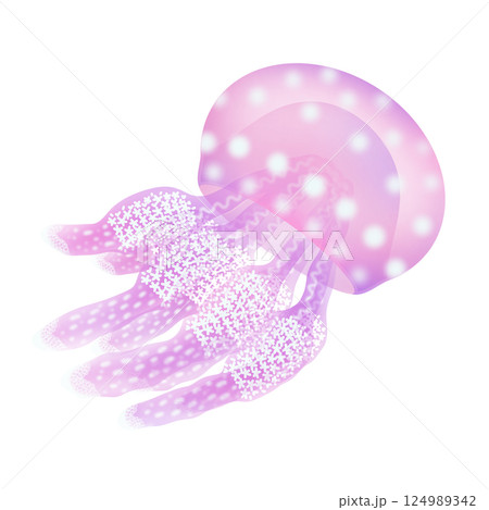 タコクラゲ_桃色 124989342