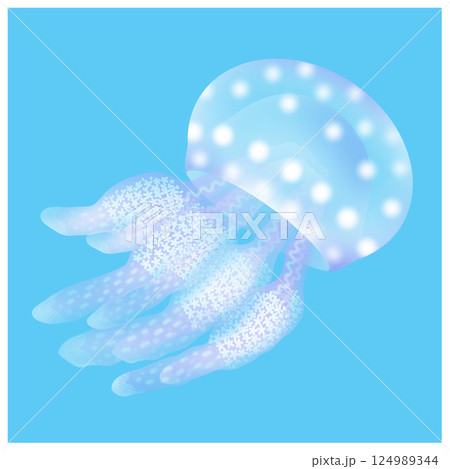 タコクラゲ_水色 タコクラゲ_水色 124989344