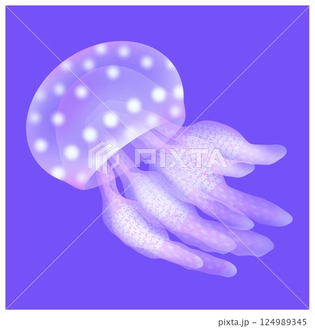 タコクラゲ_紫 124989345