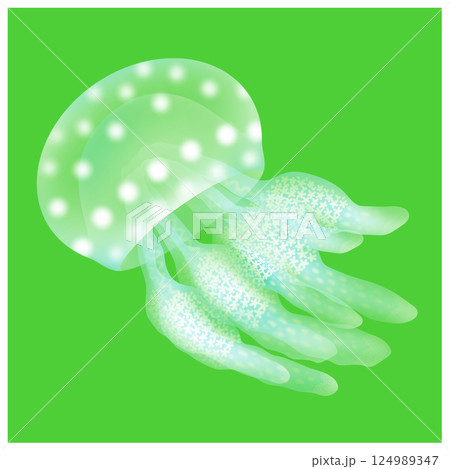 タコクラゲ_緑 124989347