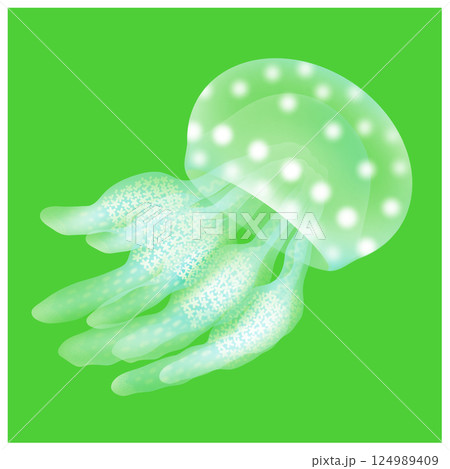 タコクラゲ_緑 タコクラゲ_緑 124989409