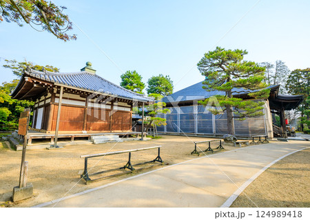 春の智恩寺 文殊堂　京都府宮津市 124989418