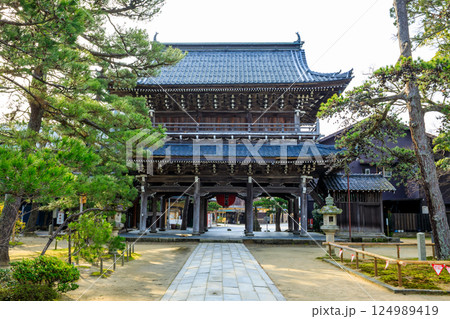 春の智恩寺　三門　京都府宮津市 124989419