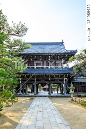春の智恩寺 三門 京都府宮津市 春の智恩寺 三門 京都府宮津市 124989420