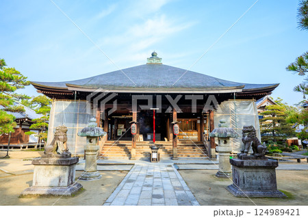 春の智恩寺 文殊堂 京都府宮津市 春の智恩寺 文殊堂 京都府宮津市 124989421