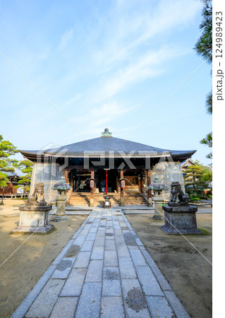 春の智恩寺 文殊堂　京都府宮津市 124989423