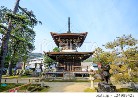 春の智恩寺 京都府宮津市 春の智恩寺 京都府宮津市 124989425
