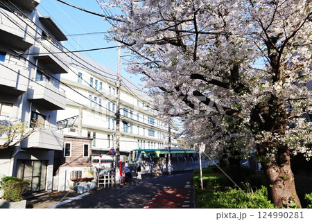 桜と東急多摩川線の電車 124990281