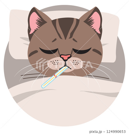 Sad Ill Cat In Bed Vector Illustration Sad Ill Cat In Bed Vector Illustration 124990653