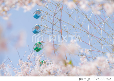 桜と観覧車・春休みの遊園地 イメージ 124990802