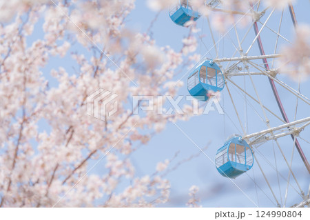 桜と観覧車・春休みの遊園地 イメージ 124990804