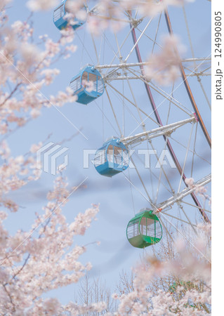 桜と観覧車・春休みの遊園地 イメージ 124990805