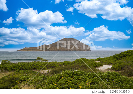 ハワイの休日 オアフ島マカプウ展望台からラビット島(マーナナ島)を眺望 ハワイの休日 オアフ島マカプウ展望台からラビット島(マーナナ島)を眺望 124991040