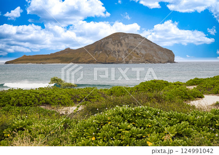 ハワイの休日　オアフ島マカプウ展望台からラビット島（マーナナ島）を眺望 124991042