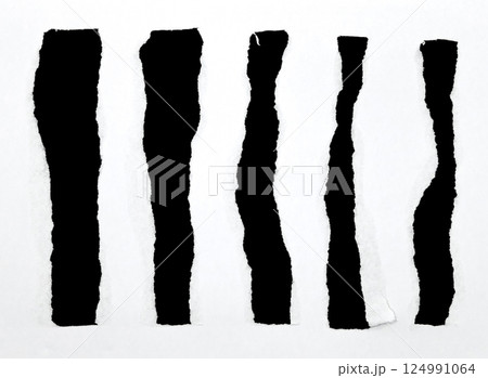 White paper torn into blank spaces isolated on white background 124991064