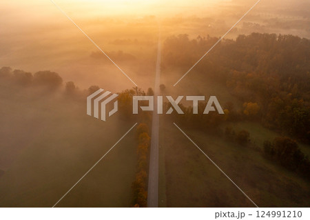Drone aerial image with an autumn forest and a road on a foggy morning at golden hour Drone aerial image with an autumn forest and a road on a foggy morning at golden hour 124991210