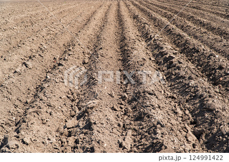 A beautifully plowed field. A plowed field in spring 124991422