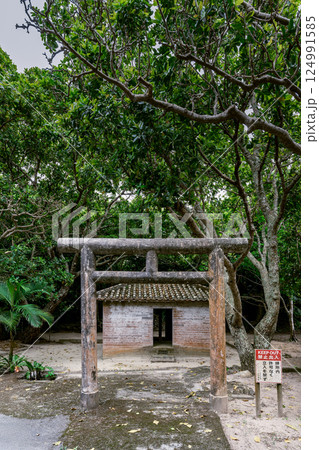 信仰が息づく川平貝塚、森に包まれた静かな聖域　御嶽 124991585