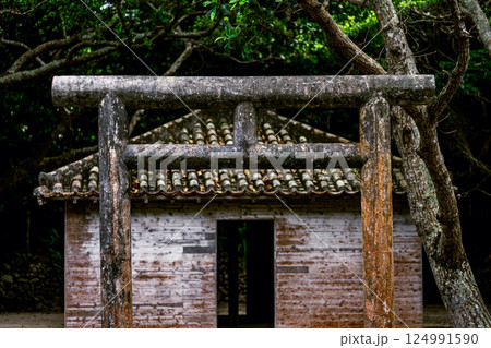 信仰が息づく川平貝塚、森に包まれた静かな聖域　御嶽 124991590