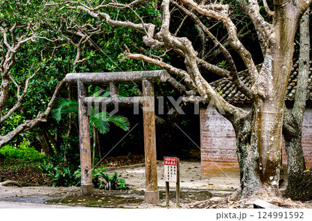 信仰が息づく川平貝塚、森に包まれた静かな聖域 御嶽 信仰が息づく川平貝塚、森に包まれた静かな聖域 御嶽 124991592