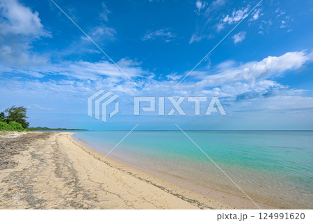 透明度抜群のエメラルドグリーンが広がる石垣島・吉原海岸の絶景 124991620