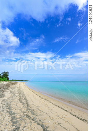 透明度抜群のエメラルドグリーンが広がる石垣島・吉原海岸の絶景 透明度抜群のエメラルドグリーンが広がる石垣島・吉原海岸の絶景 124991621
