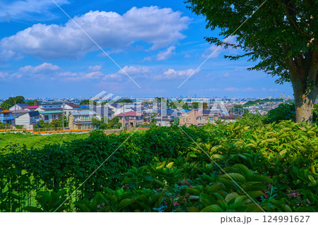 神奈川県川崎市多摩区長尾の長尾宮前公園から北東側の都心方面を見る 124991627