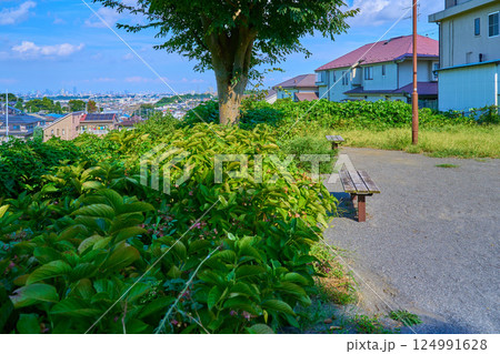 神奈川県川崎市多摩区長尾の長尾宮前公園から北東側の都心方面を見る 神奈川県川崎市多摩区長尾の長尾宮前公園から北東側の都心方面を見る 124991628
