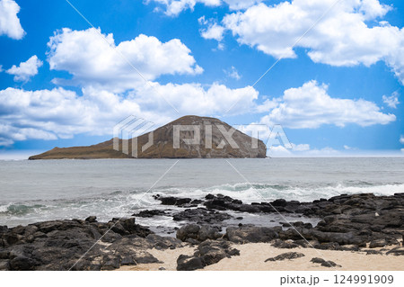 ハワイの休日　オアフ島マカプウ展望台からラビット島（マーナナ島）を眺望 124991909