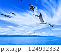 沖合から望む佐渡島（新潟県佐渡市） 124992332