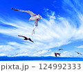 沖合から望む佐渡島（新潟県佐渡市） 124992333
